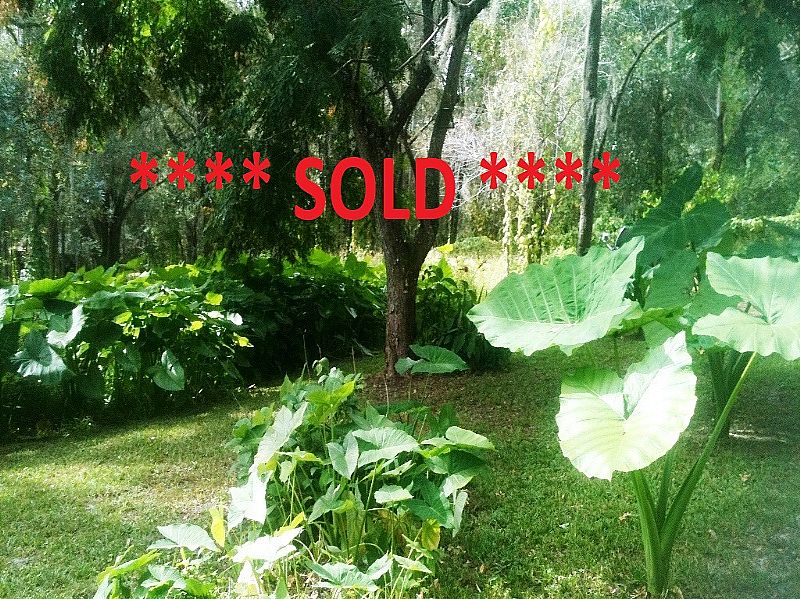 26126 Hayman Rd, Hernando County, Florida 34602 - Beautiful 1+ Ac Building Site in Area of Larger Tracts - SOLD