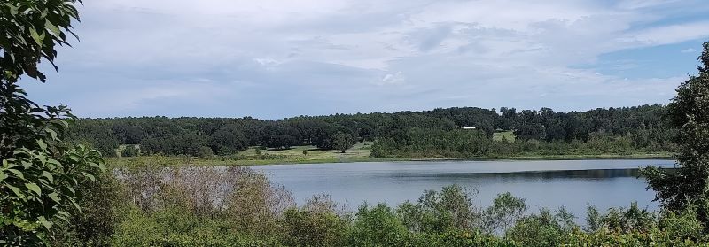 10 Acre Lakefront - Jessamine Lake - Hillside - Clear Running Spring - Dade City, Pasco County, Florida 33523 Off Market