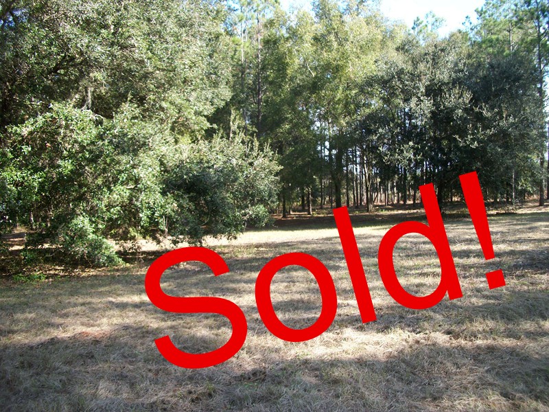 Bayhead Road - 3.46 Acres - Owner Long-Term Financing Desirable Area Dade City, Pasco County, Fl 33525 SOLD